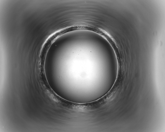 X0000085770971200703161139