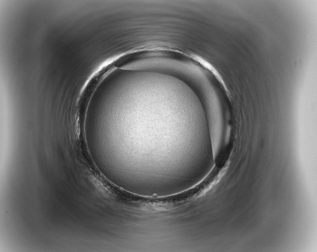 X0000085770973200703161139