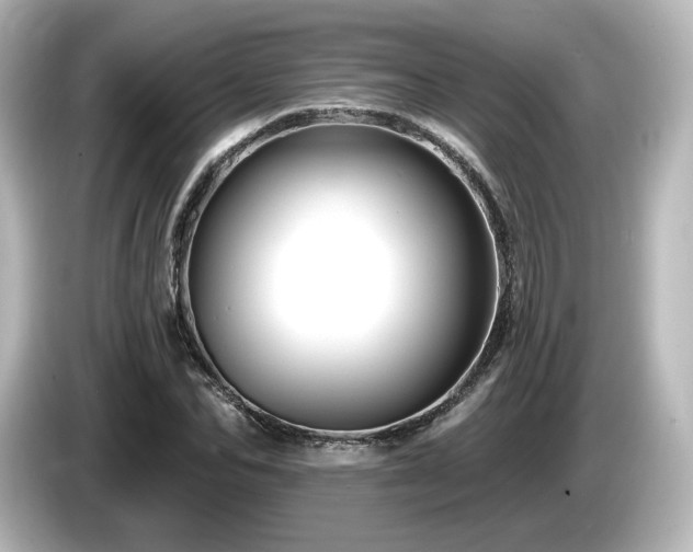 X0000085770974200703161139