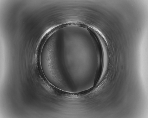 X0000085770975200703161139