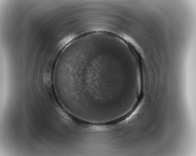 X0000085770977200703161139