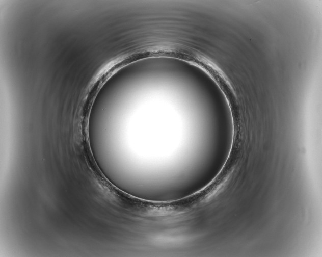 X0000085770978200703161139