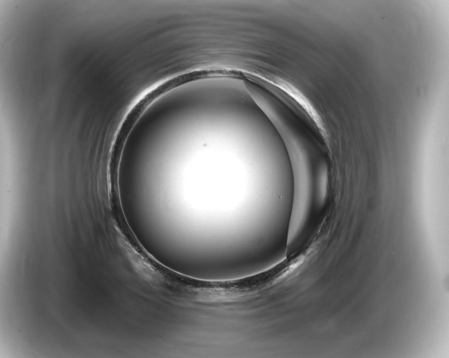 X0000085770980200703161139