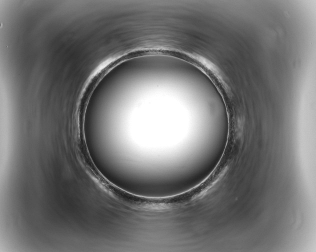 X0000085770982200703161139