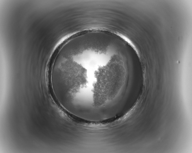 X0000085770983200703161138