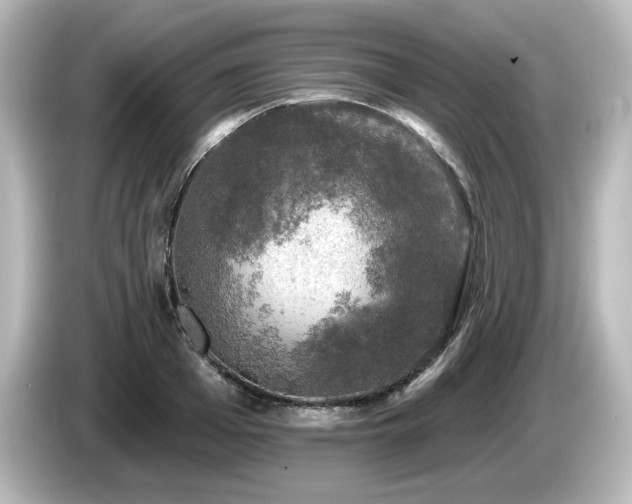 X0000085770985200703161138