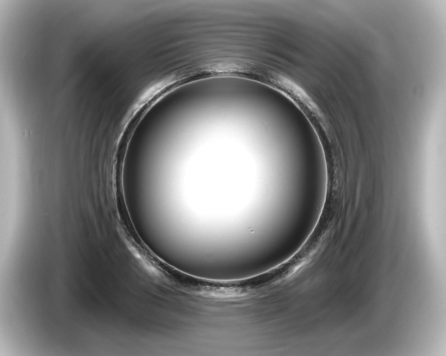 X0000085770986200703161138