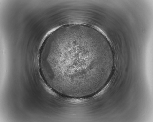 X0000085770987200703161138