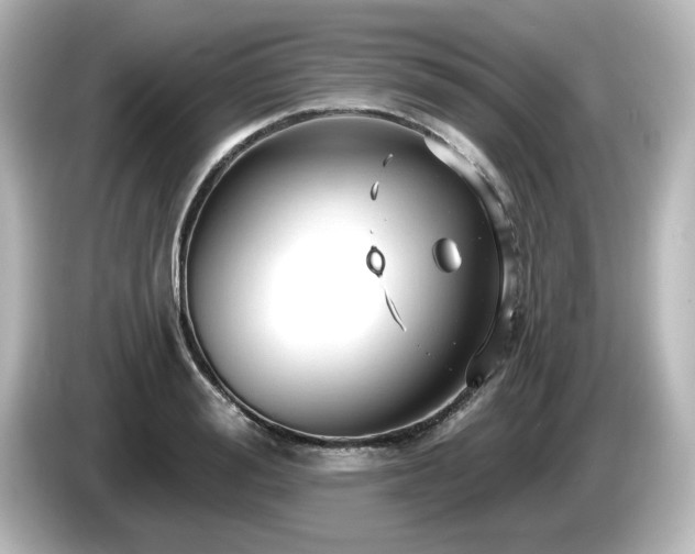 X0000085770988200703161138