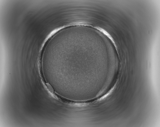 X0000085770989200703161138