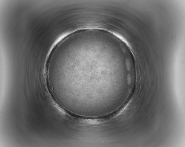 X0000085770990200703161138