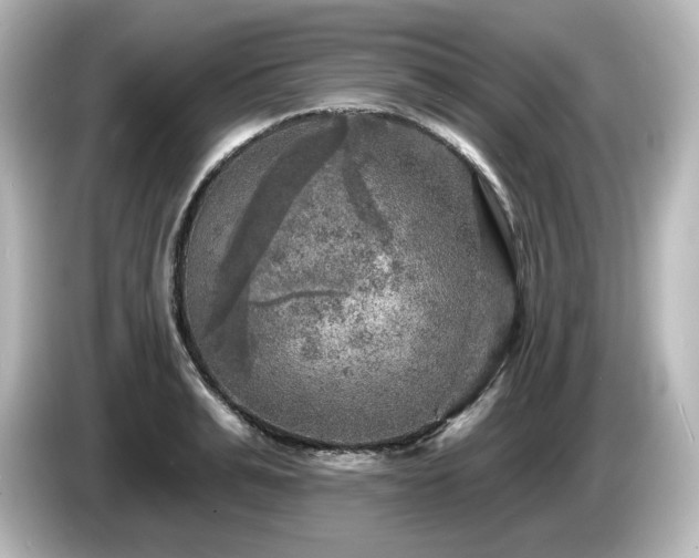 X0000085770991200703161138