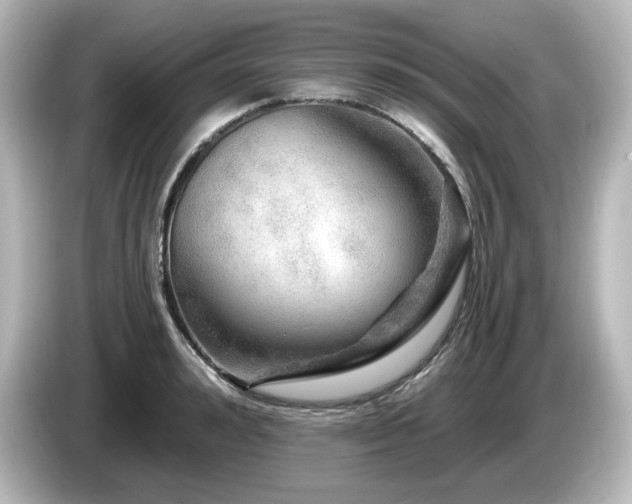 X0000085770992200703161138