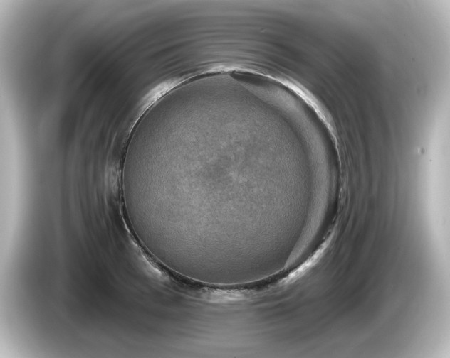 X0000085770993200703161138