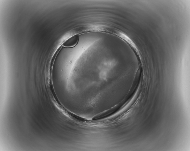 X0000085770994200703161138