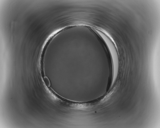 X0000085770995200703161138