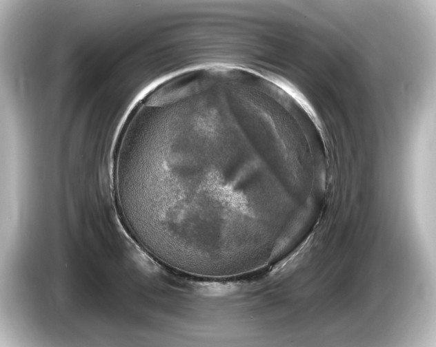 X0000085770996200703161138