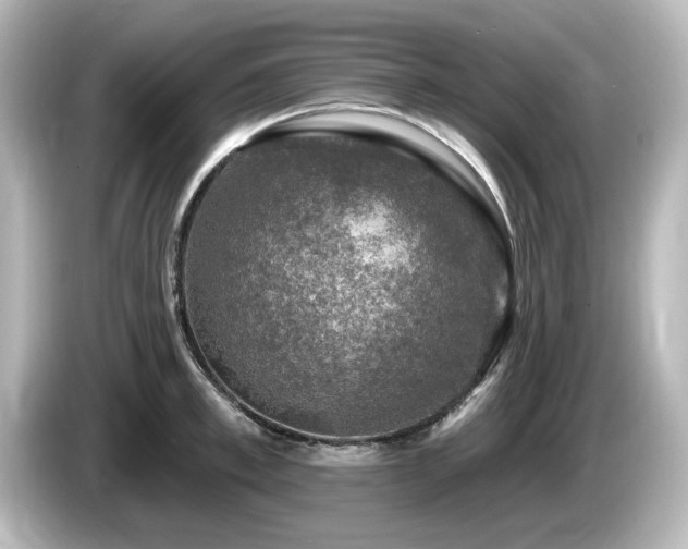 X0000085770997200703161138