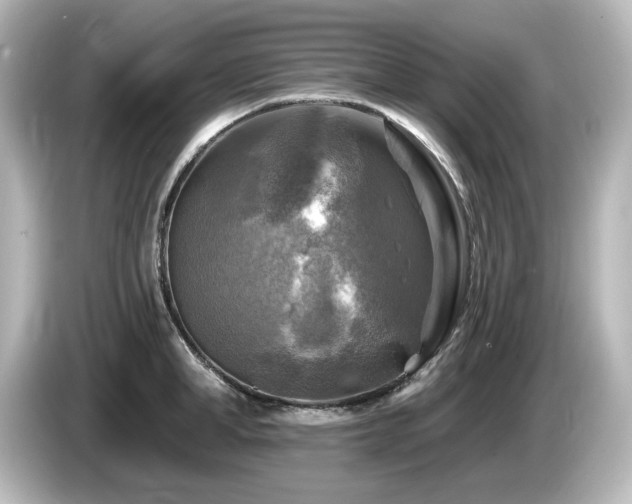 X0000085770998200703161138