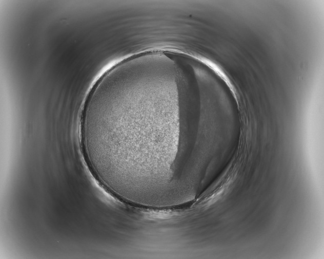 X0000085770999200703161138