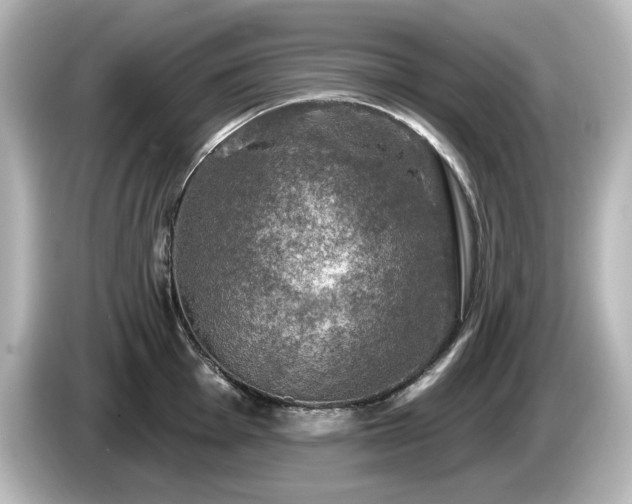 X0000085771001200703161138