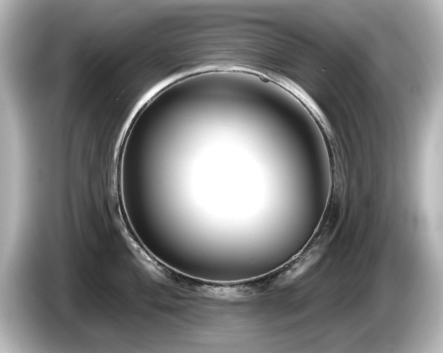 X0000085771004200703161138