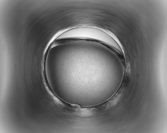 X0000085771005200703161138