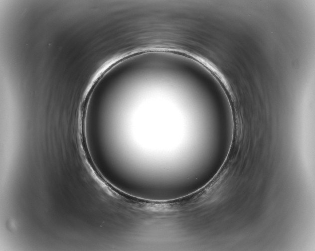 X0000085771006200703161138