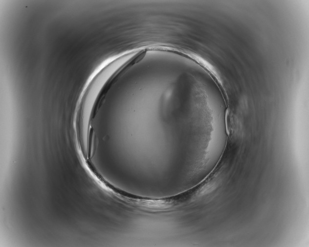 X0000085771007200703161138