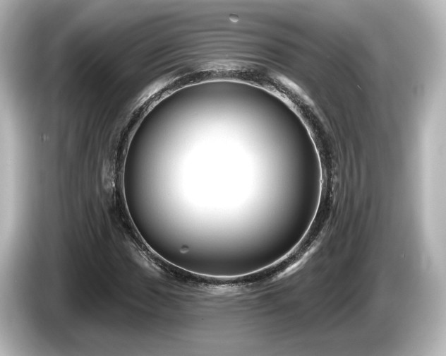 X0000085771017200703161137