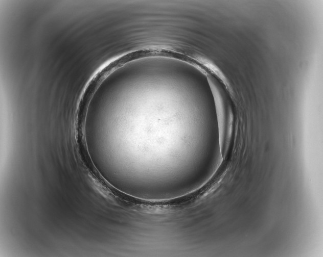 X0000085771020200703161137