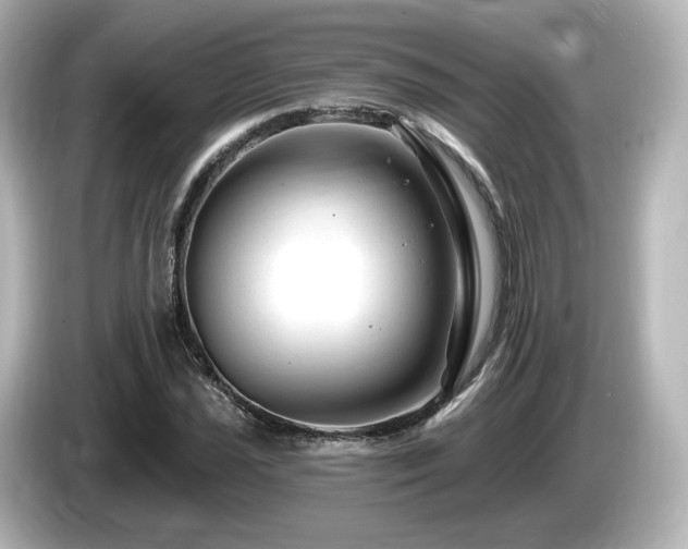 X0000085771021200703161137