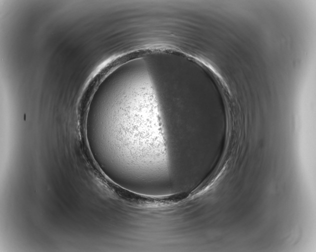 X0000085771022200703161137