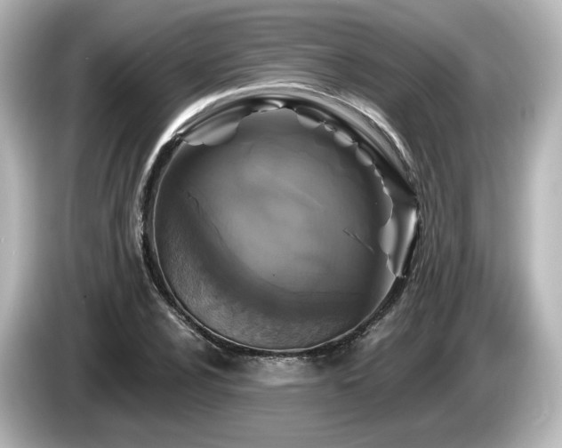 X0000085771024200703161138