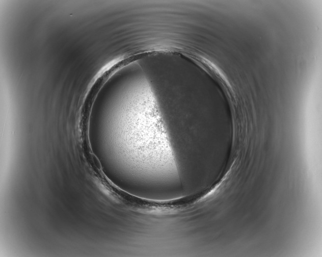 X0000085771026200703161138