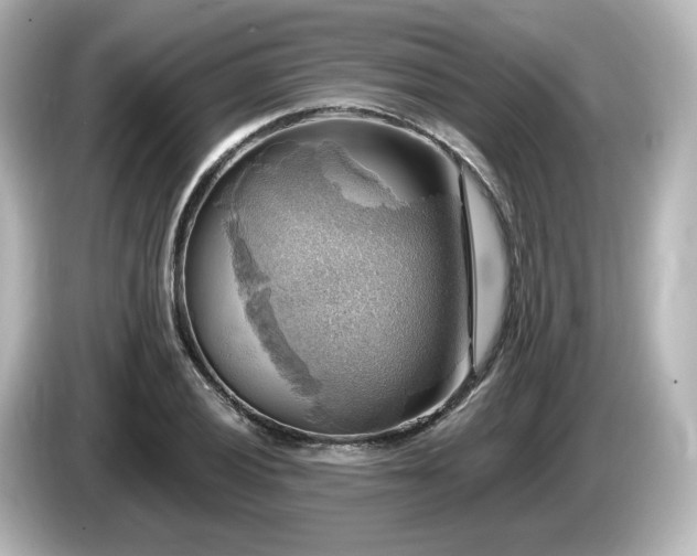 X0000085771028200703161138