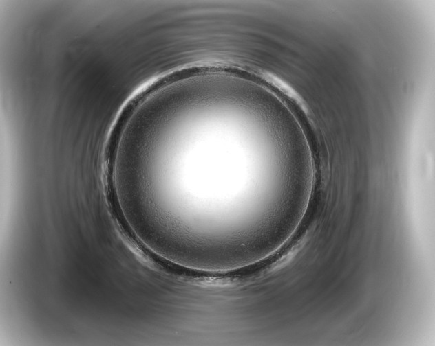 X0000085771029200703161138