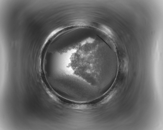 X0000085771030200703161138