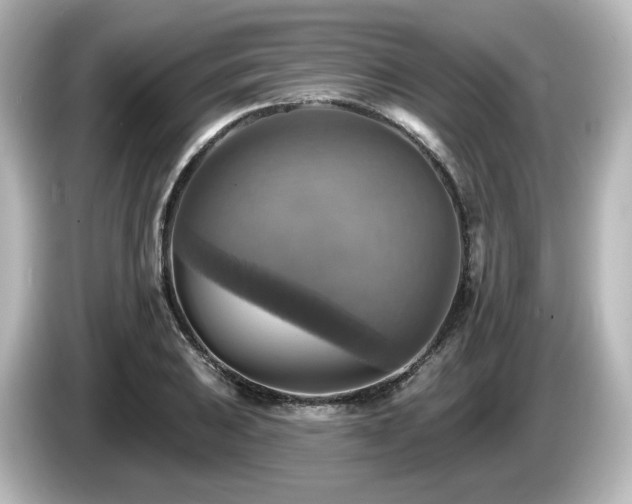 X0000085771031200703161138