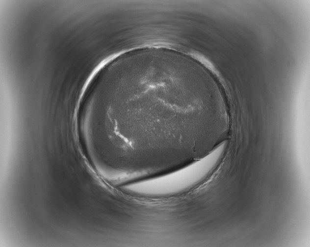 X0000085771032200703161138