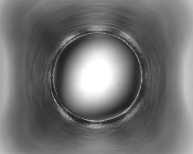 X0000085771033200703161138