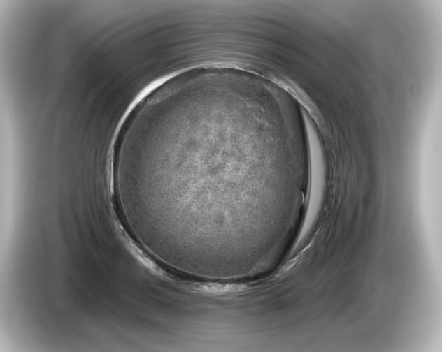 X0000085771036200703161138