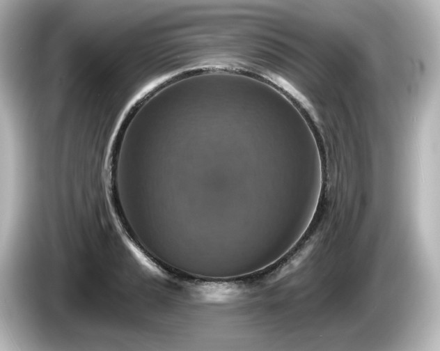 X0000085771037200703161138