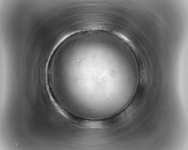 X0000085771039200703161138