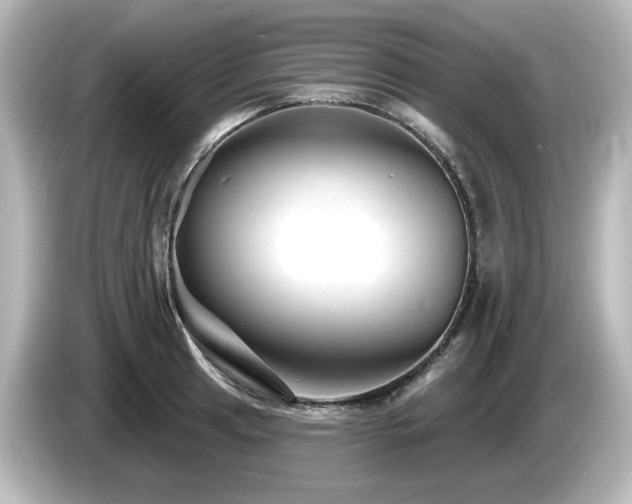 X0000085771041200703161138