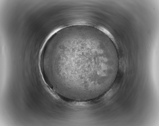 X0000085771043200703161138