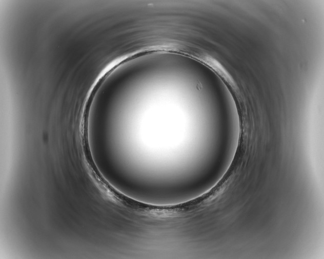 X0000085771044200703161138