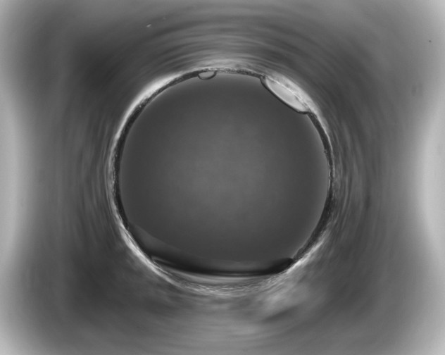 X0000085771045200703161138