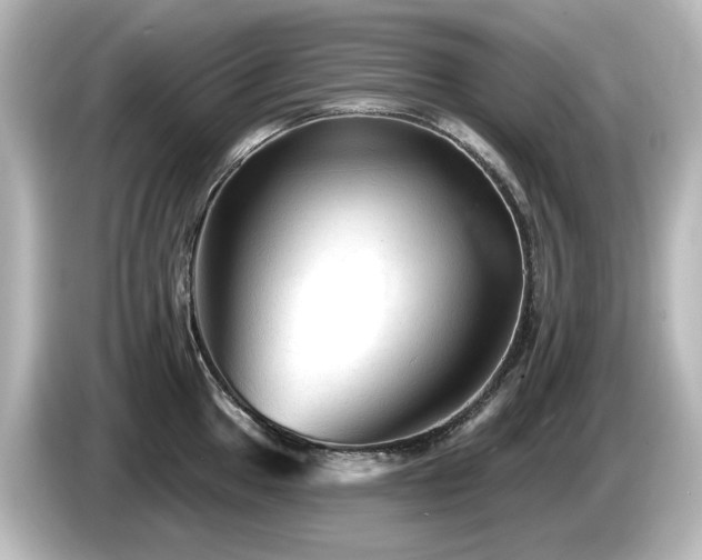 X0000085771049200703161138