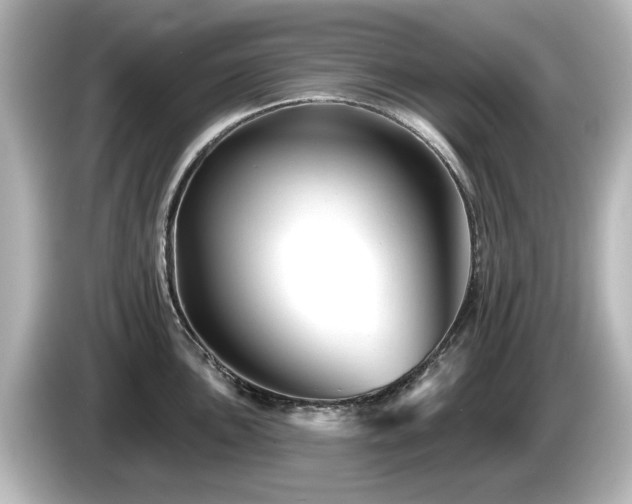 X0000085771051200703161138